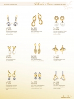 Clique para amplicar